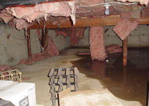 Fiberglass dripping off of the ceilings of a Fresno crawl space