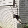 foundation walls cracked due to settlement in Los Angeles
