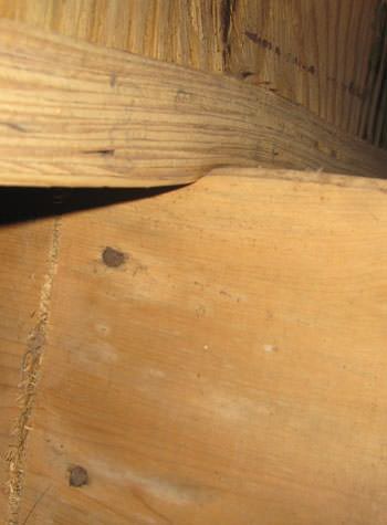 severe damage to a crawl space structure in a Santa Ana home